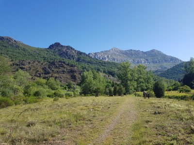 Our morning meadow, near Las Salas