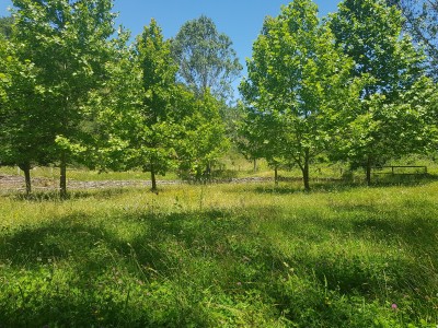 Our lunch spot