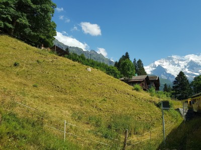 View from the train, just outside of Wengen
