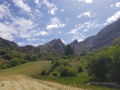 The Spanish Fritillary site