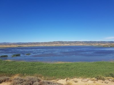 Pitillas reservoir