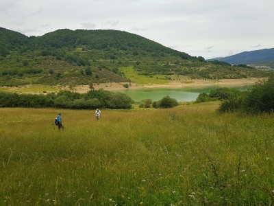 Bog Fritillary habitat