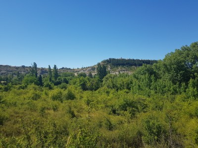 Habitat at the Veral river, near Berdun