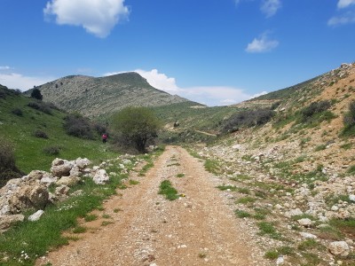 The Greek Mazarine Blue site