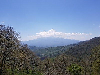 Mount Etna viewed from the Eastern Orange Tip site