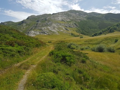 Dusky Large Blue habitat