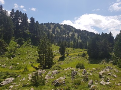 The meadows behind La Contienda Larra Belagua