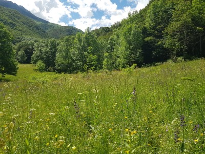 The meadows near Ponte di Porcera