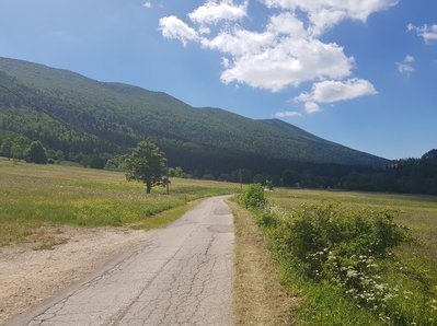 Final Meadow, near Krasno 1