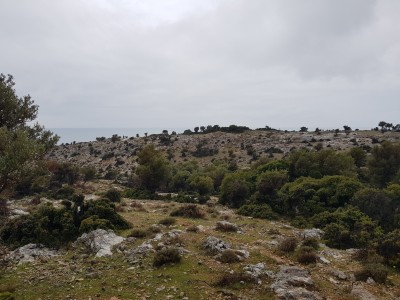 Wild landscape near the Ancient Theatre of Maronia