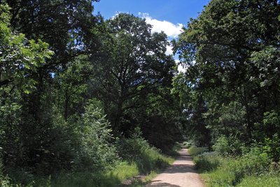 View of the main track at Oversley Woods.