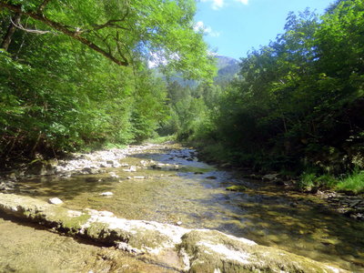 WeiBach river