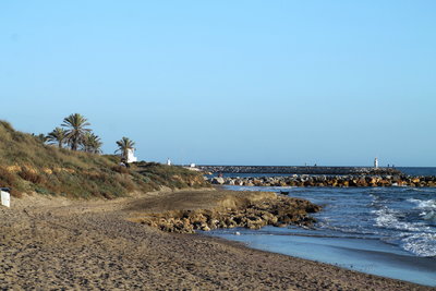 beach and primary dunes