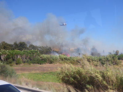 ZD P1020911 Brush fire between Estepona and San Pedro. Taken from coach heading to Marbella.jpg