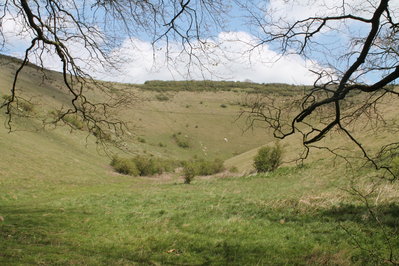 View of Rake Bottom, Butser Hill
