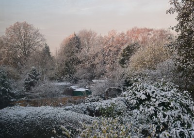 Looking over my neighbours gardens from an upstairs window on a bright and Chilly morning.