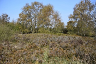 View of habitat