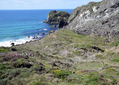 Undercliff Area to the south of Kynance Cove.