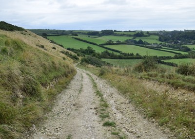 Looking down the path that leads up to White Horse hill