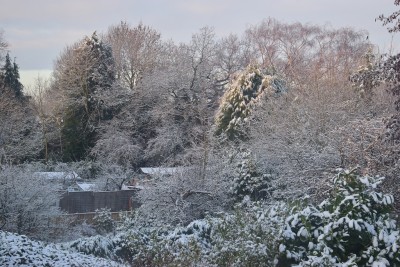 Morning sun on snowy gardens - view through our rear upstairs bedroom window.