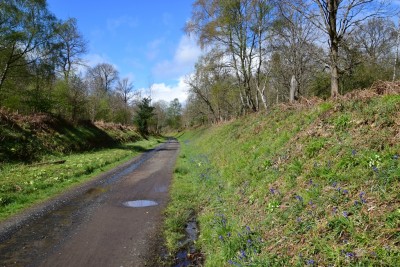 Section of old railway line. PBFs flying along the bank on the right side.