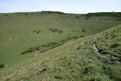 View showing trail across the hillside.
