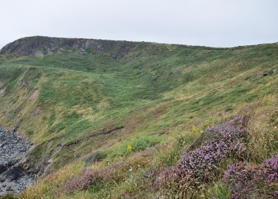 Area to the south side of Enys Head.