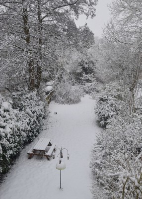 View of back garden from rear upstairs bedroom.
