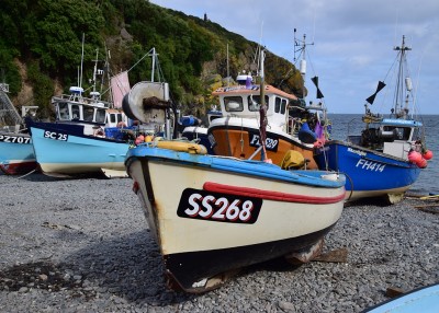 Cadgwith - August 4th 2024