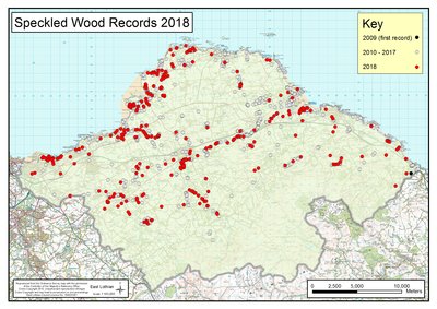 Speckled Woods 2009-2018 (2).jpg
