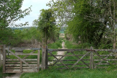 The old gate at Noar Hill.