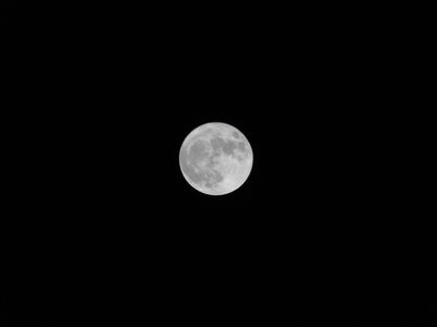 Moon 14Nov16(1).JPG