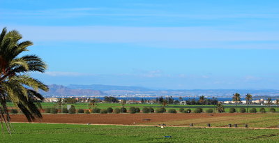 The fields around La Manga.