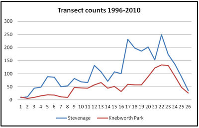 Speckled Wood transect counts 1996-2010