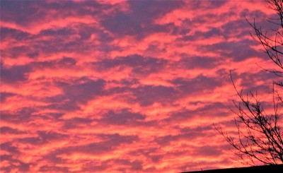 This mornings spectacular sunrise.