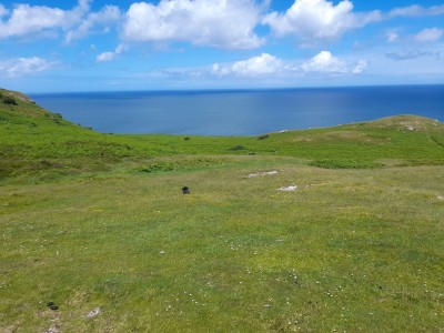 A view north from Great Orme