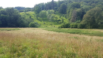 Daneway Banks as viewed from the Wysis Way