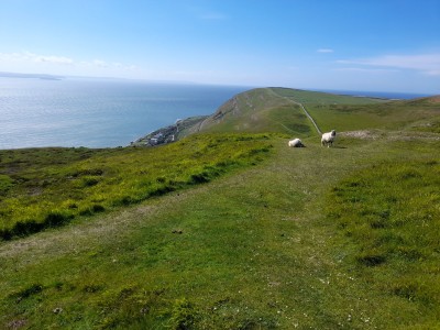 Looking west from Great Orme