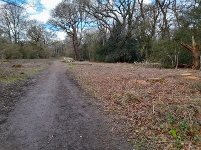 This path was quite shaded once the trees that have now been felled came into leaf