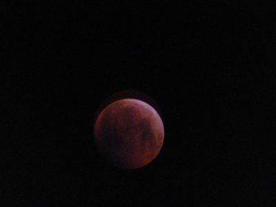A bit blurred - but it is total and blood red