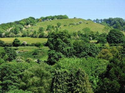 Swifts Hill from the other side of the valley