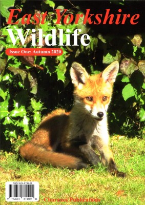 Cover East Yorkshire Wildlife Magazine