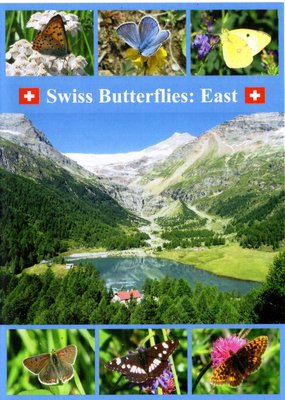 Swiss Butterflies: East, front cover