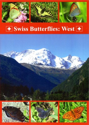 Swiss Butterflies West DVD front cover