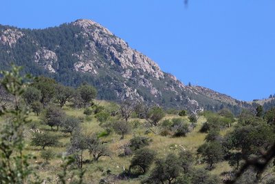 Santa Rita Mountain