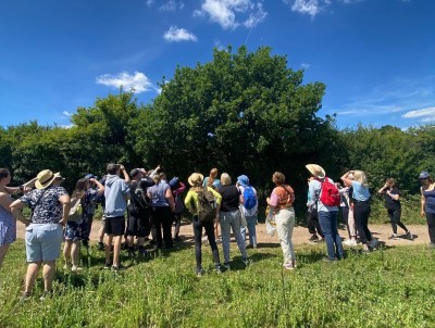 UKB Knepp Safari groups watching Large Tortoiseshell 9.7.22 (c) Alex Timmons.jpg