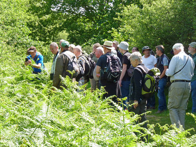 BC Guided walk (1) Ditchling Common 15.6.19.jpg