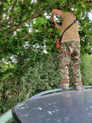 UKB Photographing Empress on sap run from car roof (c) Mark Hulme.jpg