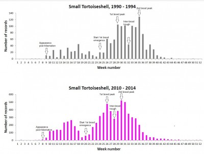 Small Tortoiseshell phenology change in Sussex  over a 20 year period.jpg