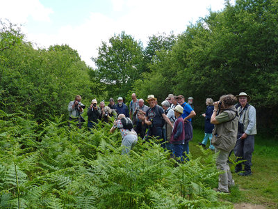 BC Guided walk (2) Ditchling Common 15.6.19.jpg